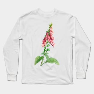 Common foxglove - Botanical Illustration Long Sleeve T-Shirt